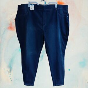 Terra & Sky Women's Plus Size Pull On Jeggings 28" Inseam Size 4X (28W-30W)